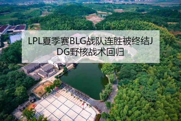 LPL夏季赛BLG战队连胜被终结JDG野核战术回归